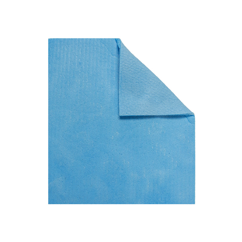 Sponge Cloth 20x17.5cm Blue