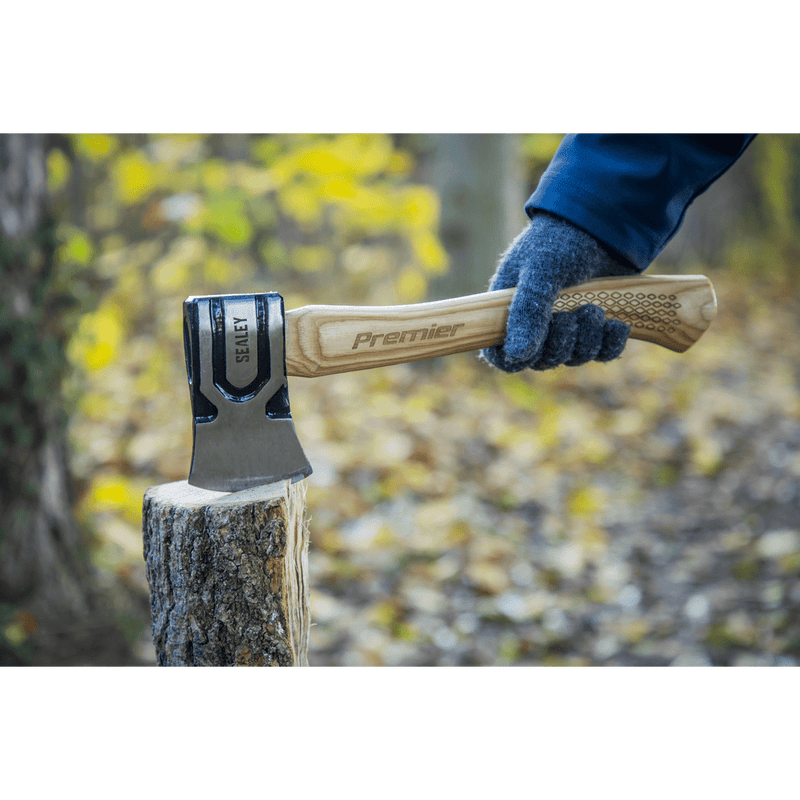 Sealey Axes 1.5lb Hand Axe with Hickory Shaft-AXH98 5054511611670 AXH98 - Buy Direct from Spare and Square