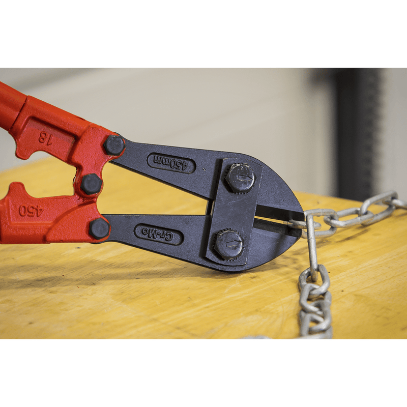 Sealey Bolt Croppers & Cutters 450mm Bolt Cropper 8mm Capacity-AK508 5024209231305 AK508 - Buy Direct from Spare and Square