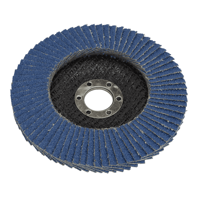 Sealey Flap Discs Ø100mm Zirconium Flap Disc Ø16mm Bore 60Grit-FD10060 5054630084300 FD10060 - Buy Direct from Spare and Square