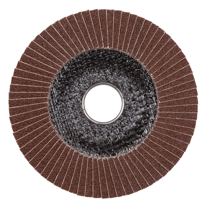 Sealey Flap Discs Ø115mm Aluminium Oxide Flap Discs Ø22mm Bore 60Grit - Pack of 10-FD11560E10 5054630200403 FD11560E10 - Buy Direct from Spare and Square