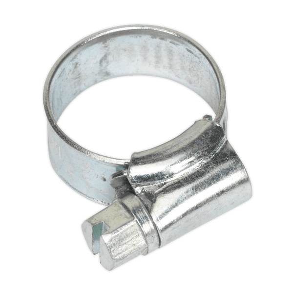 Sealey Hose Clips Ø10-16mm Zinc Plated Hose Clip - Pack of 30-SHCM00 5054511003031 SHCM00 - Buy Direct from Spare and Square