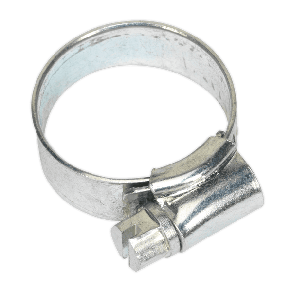 Sealey Hose Clips Ø16-22mm Zinc Plated Hose Clip - Pack of 30-SHC0 5054511003055 SHC0 - Buy Direct from Spare and Square