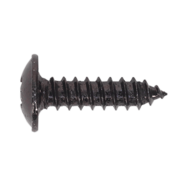 Sealey Screws & Fixings 4.2 x 16mm Black Pozi Self-Tapping Flanged Head Screw - Pack of 100-BST4216 5054511058055 BST4216 - Buy Direct from Spare and Square
