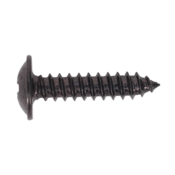 Sealey Screws & Fixings 4.2 x 19mm Black Pozi Self-Tapping Flanged Head Screw - Pack of 100-BST4219 5054511058093 BST4219 - Buy Direct from Spare and Square