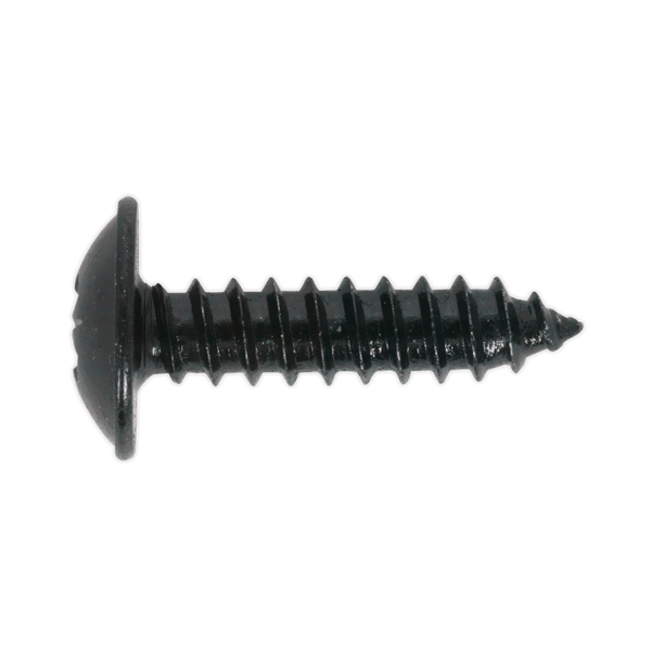 Sealey Screws & Fixings 4.8 x 13mm Black Pozi Self-Tapping Flanged Head Screw - Pack of 100-BST4813 5054511058147 BST4813 - Buy Direct from Spare and Square