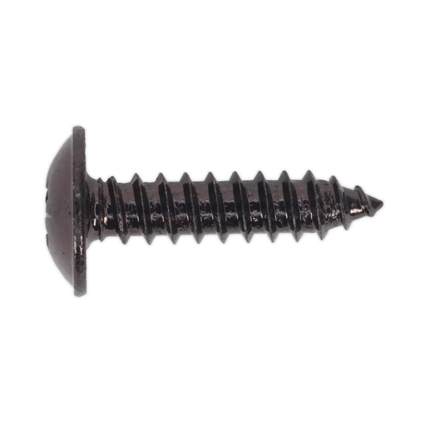 Sealey Screws & Fixings 4.8 x 19mm Black Pozi Self-Tapping Flanged Head Screw - Pack of 100-BST4819 5054511058291 BST4819 - Buy Direct from Spare and Square