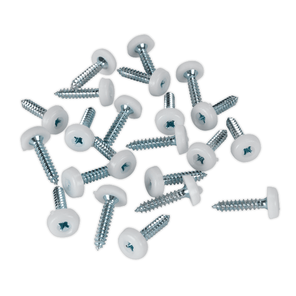 Sealey Screws & Fixings 4.8 x 24mm White Numberplate Screw - Pack of 50-PTNP5 5054511051605 PTNP5 - Buy Direct from Spare and Square