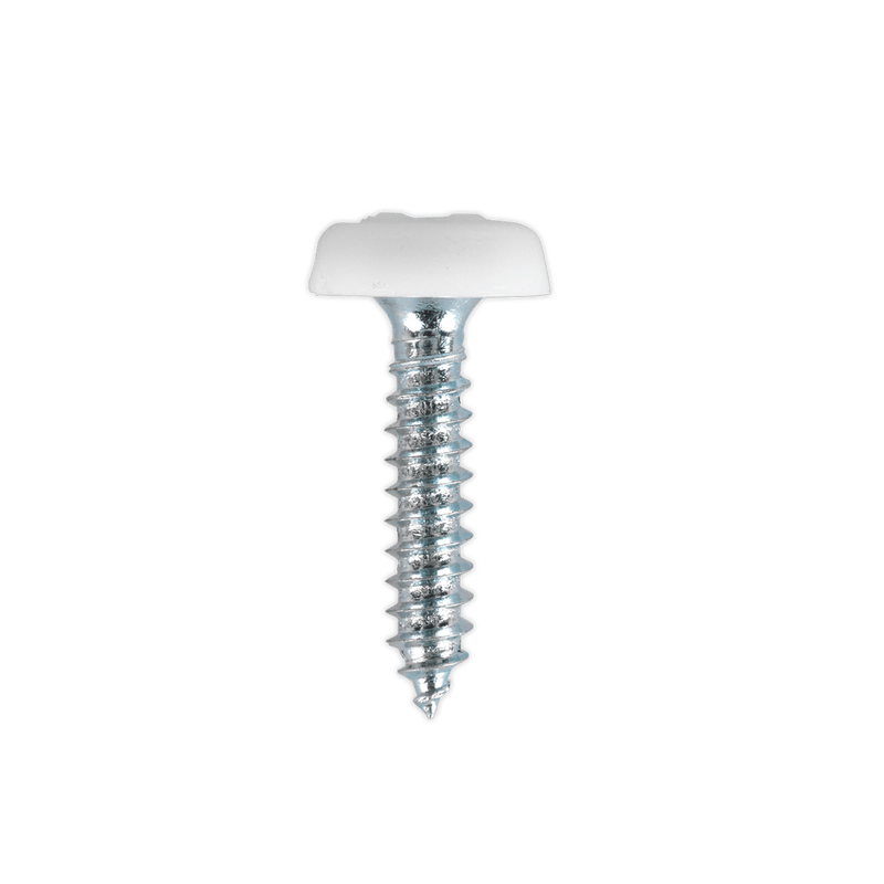 Sealey Screws & Fixings 4.8 x 24mm White Numberplate Screw - Pack of 50-PTNP5 5054511051605 PTNP5 - Buy Direct from Spare and Square