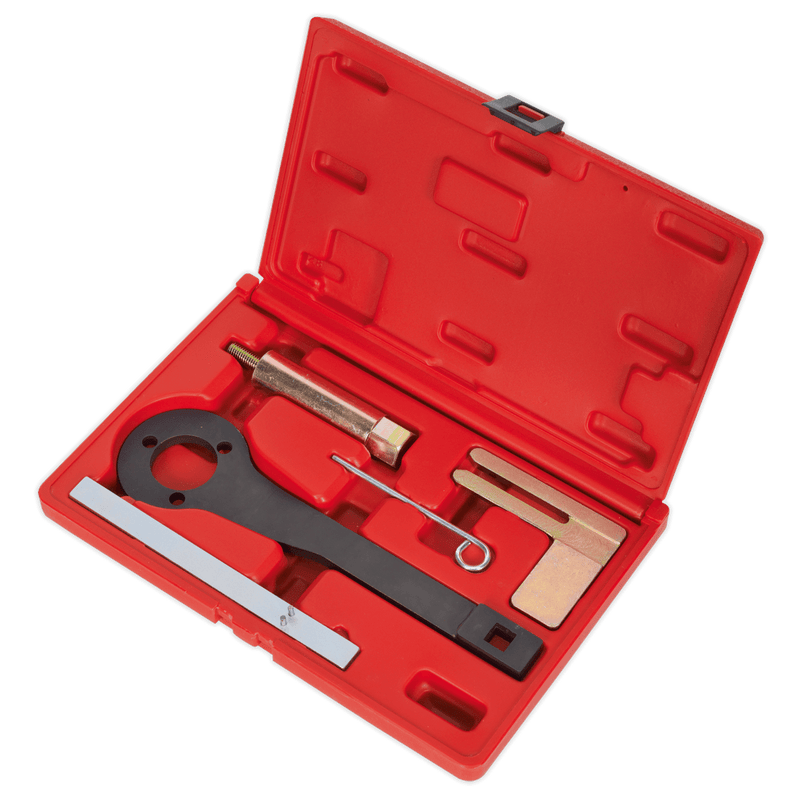 Sealey Setting & Locking Tools Petrol Engine Balance Shaft Alignment Tool Kit - for BMW, BMW Mini, Citroen, Peugeot - Chain Drive-VSE6156 5051747721838 VSE6156 - Buy Direct from Spare and Square