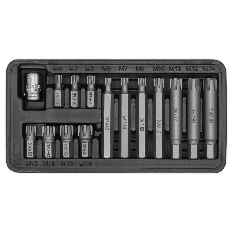 Sealey Specialised Bits & Sockets 15pc 3/8"Sq Drive Ribe Bit & Holder Set-S0871 5051747512382 S0871 - Buy Direct from Spare and Square