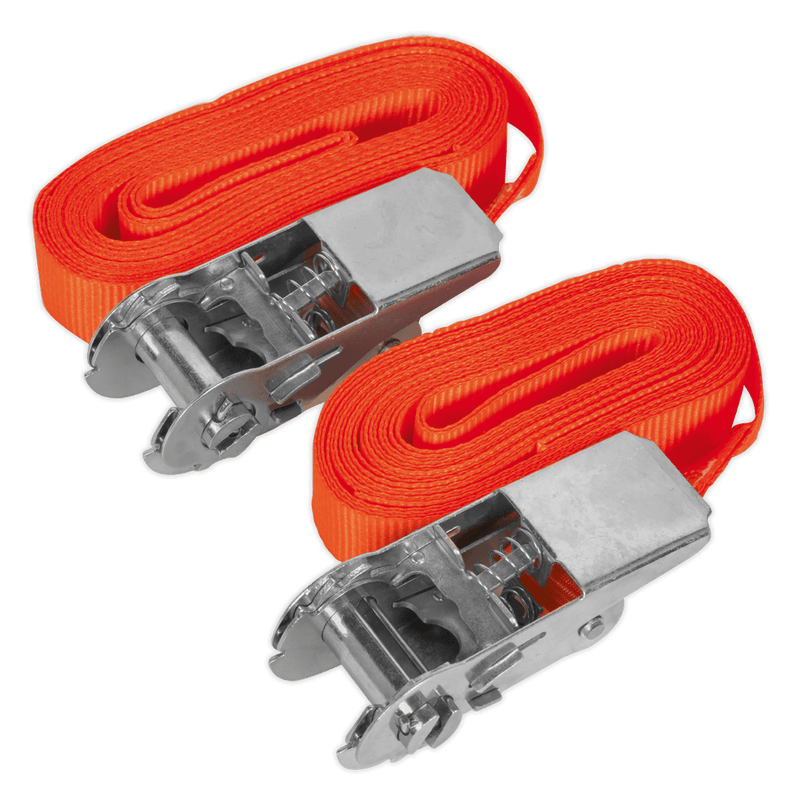 Sealey Tie Downs 25mm x 4.5m Self-Securing Ratchet Straps 500kg Breaking Strength - Pair-TD05045E 5051747807457 TD05045E - Buy Direct from Spare and Square