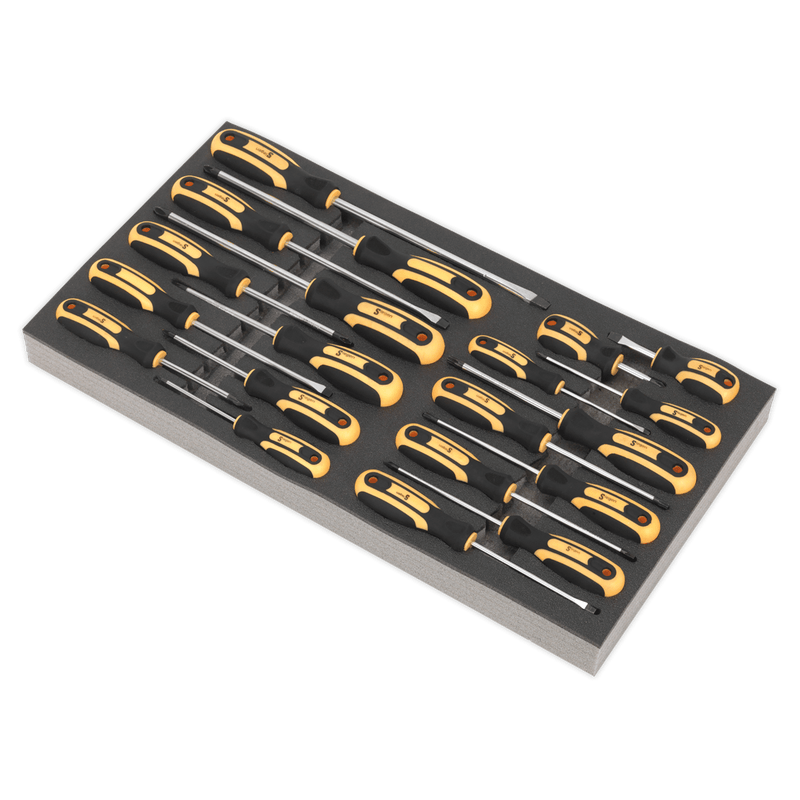 Sealey Tool Trays 20pc Screwdriver Set with Tool Tray-S01127 5054511123715 S01127 - Buy Direct from Spare and Square