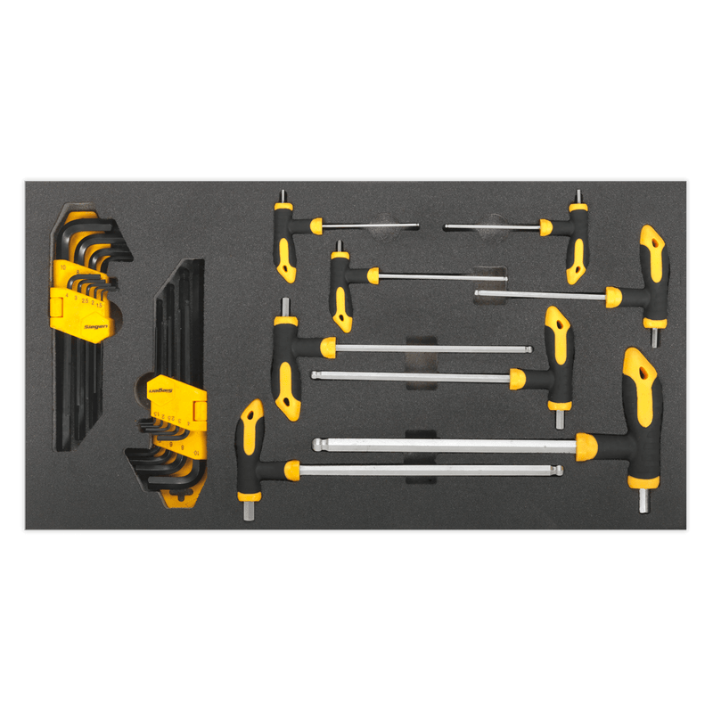Sealey Tool Trays 26pc T-Handle & Standard Hex Key Set with Tool Tray-S01134 5054511123784 S01134 - Buy Direct from Spare and Square