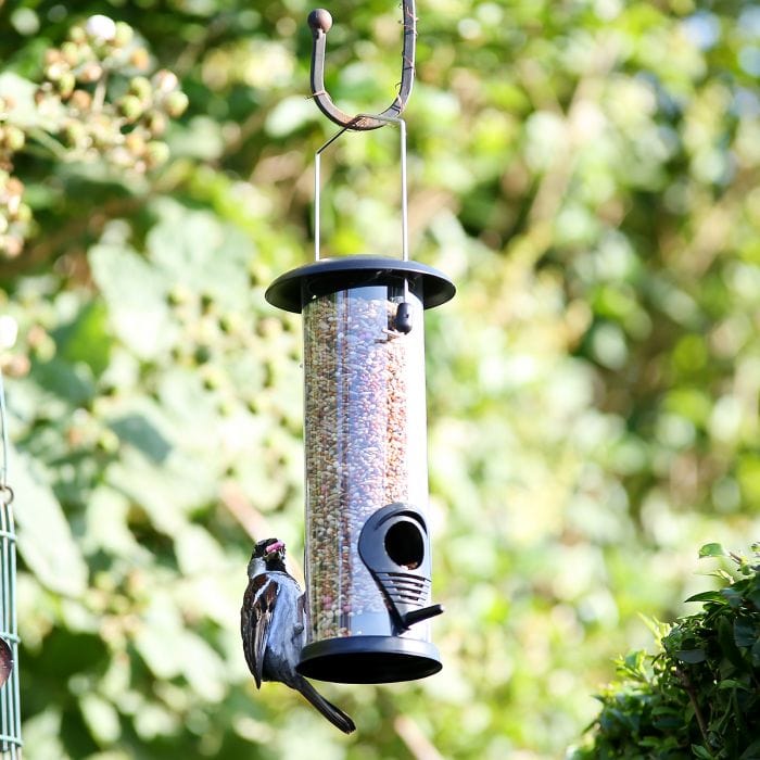 Spare and Square Garden Garden Bird Seed Feeder BFKD - Buy Direct from Spare and Square