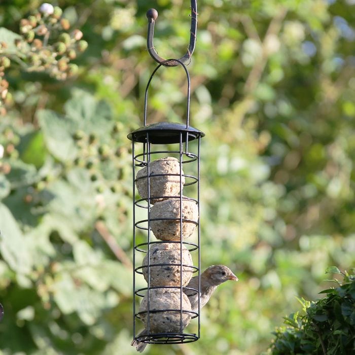 Spare and Square Garden Garden Fat Ball Bird Feeder BF21 - Buy Direct from Spare and Square